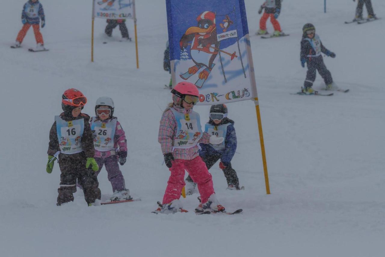 Ski- Und Wander Appartements Schiffer Innerkrems Dış mekan fotoğraf